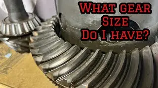 How to Identify Your Gear Size
