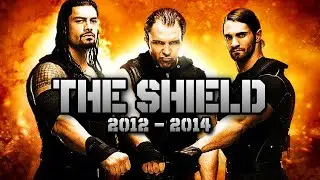 Il DOMINIO dello SHIELD