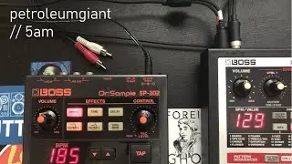 sp202 + sp303 lofi beat // 5am