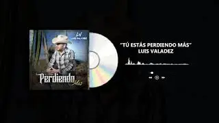 Tú estás perdiendo más (Audio) - Luis Valadez
