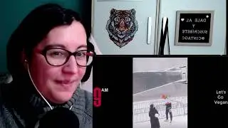 4 Reaccionando a videos graciosos