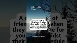 Friedn Ship Facts