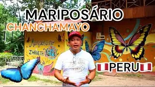 Peru 🇵🇪 Mariposario La Merced - Chanchamayo 🇵🇪