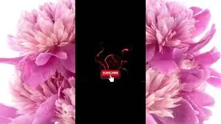 Tik Tok Summer Girls Chalenge_y5F4FdEmu3c #000_3ej2zf