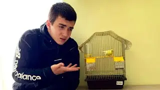 ДАНИЭЛЬ БОЙ, ЗАРАЗИЛА МЕНЯ НЕИЗВЕСТНОЙ БОЛЕЗНЬЮ!!!(