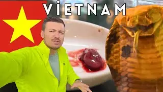 YILAN KALBİ YİYORLAR ! | KANINI İÇİYORLAR ! |Vietnam yılan restaurantı Hanoi