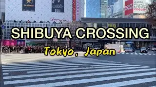 SHIBUYA CROSSING | GO CART | HACHIKO MONUMENT | Japan Vlogs
