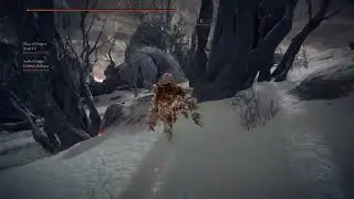 Average Elden Ring Coop