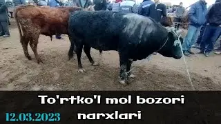 Yangi To'rtko'l To'rtko'l mol bozori narxlari 12.03.2023 #molbozori
