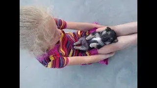 Смешная собачка!!! Super Hawk has grown.Fanny dog.