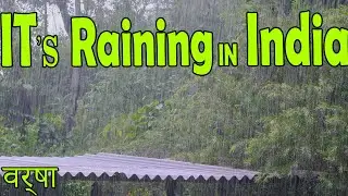🎧 10hrs + of RAIN in India, Soothing Rain Sounds to Sleep, Relax, Study