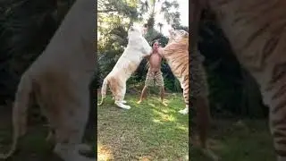Tiger King😍