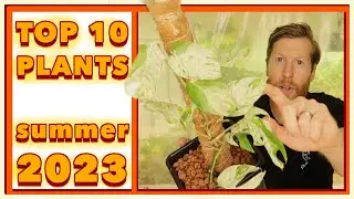 TOP 10 RARE PLANTS