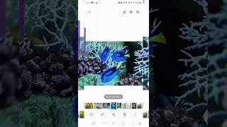 갤럭시 카메라앱 모션포토기능 이용해서 움직이는 사진(gif)및 동영상으로 저장하는 방법!!