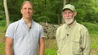 Do Insects Matter to People?
