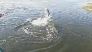 ПРИКОЛЫ на РЫБАЛКЕ! Рыбацкие КОНФУЗЫ!!!