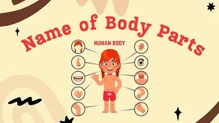 Learn Body parts| Body Parts song | Learn English for kids | English educational video