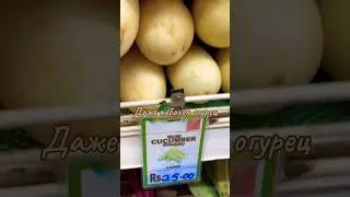 Все мы по жизни огурцы #шриланка #srilanka #юмор #humor