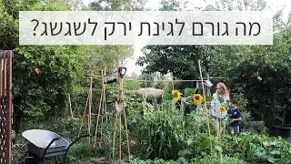 פרמקלצ׳ר || פרק שלם על אדמה וקרקע  || חרקים, פוריות האדמה קומפוסט.
