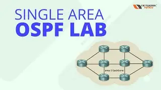 ospf single area Configuration in Nepali | ccna in nepal | ccna 200-301#ccnpsecurity