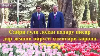 🌎 Барномаи хабарии 