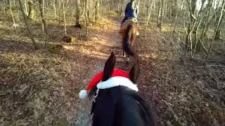 25 dec 2018 X-mas Brunssummerheide 9