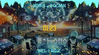 NOMY x BOCIAN - ,,BIEL I RÓŻ'' (Dj Kacperro Remix)