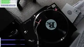 [ vinyl stacks ] Digitizing (Dr. Octagon Blue Flowers - DR-O-BF-001)