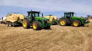 Hay Season 2019 Western Australia