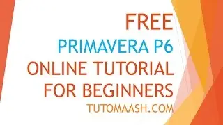 Free Oracle Primavera p6 Online Training Beginners kit-BK series