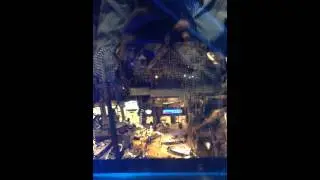 Bass Pro Shop, Memphis Tennessee