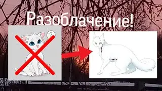 Почему Снежок не может быть Снегоухим ?/ Разоблачение / Коты Воители /Белолапая WC
