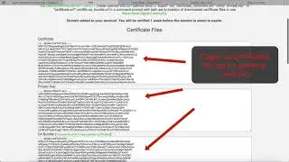 SSL For Free Renew