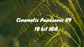 Cinematic Panasonic G9 HDR in Nature
