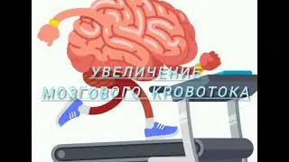 Аэробные упражнения и мозг #докторлеонидклимов