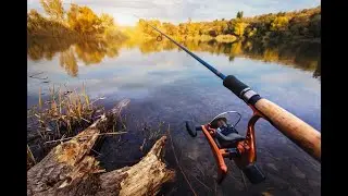 Пришли на рыбалку Fishing Planet