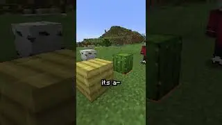 Minecraft, But We Have Telepathy...