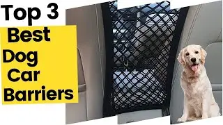 Best Dog Car Barriers You Can Buy in 2023