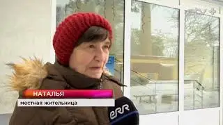Вырубка леса в Усть-Нарве
