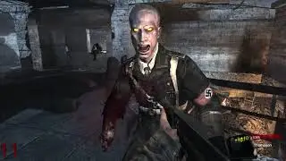 Call of Duty  World At War-- играем с читами .