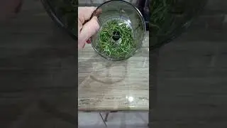 Как сделать розмариновую соль 