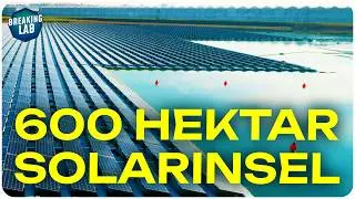 Floating Solarzellen: effizienter und günstiger im Betrieb?