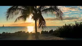 Chimbala - Déjate Ver #chimbala