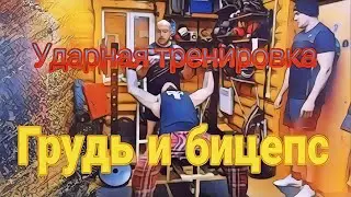 Ударная тренировка:грудь бицепс/программа тренировок для всех