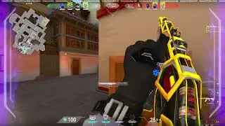 haven 18 02 2025