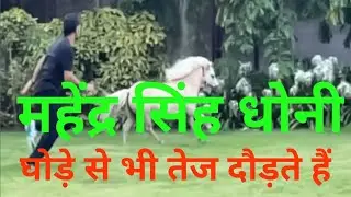 घोड़े से भी तेज महेंद्र सिंह धोनी, पत्नी साक्षी सिंह ने शेयर किया फार्महाउस का वीडियो