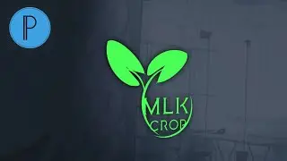 Professional Logo Design | how to make logo on pixellab
