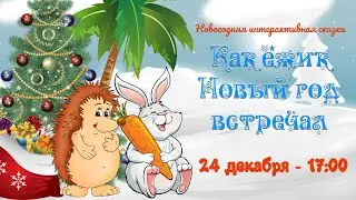 Как ёжик Новый год встречал (24.12.2021 - 