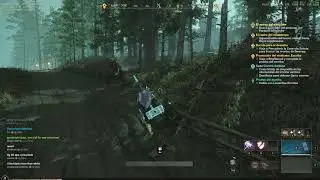 New World in a nutshell