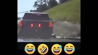 IDK what is going on here but it's hilarious 😂 #cops #funny #dogs #fyp fy